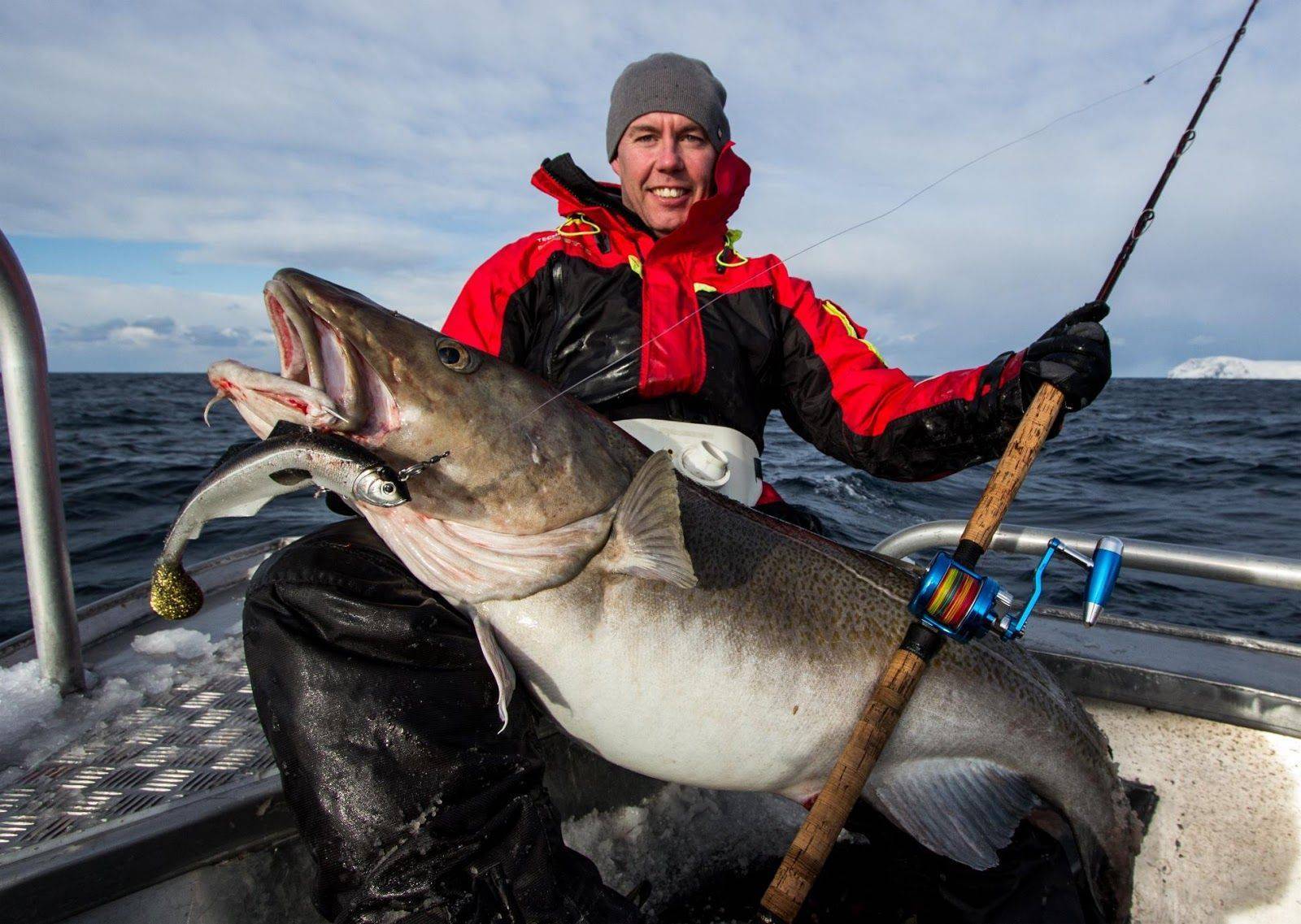Рыбалка в норвегии: особенности, где можно ловить, какая рыба водится