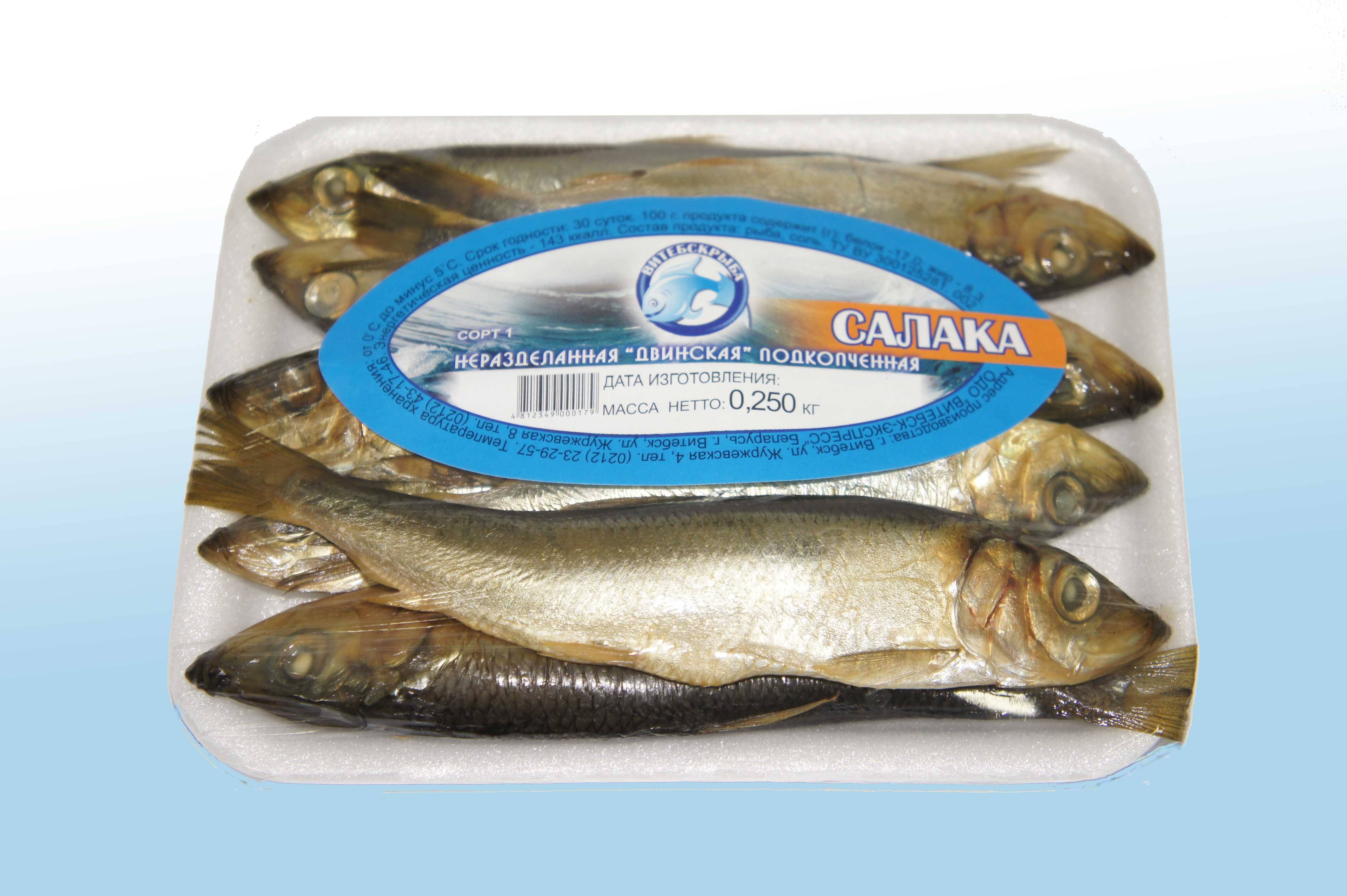 Рыба салака: польза и вред для организма, калорийность, рецепты приготовления в домашних условиях