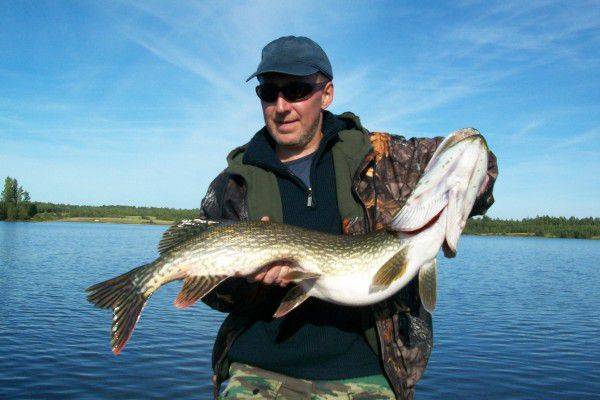ᐉ великое озеро (рязанская область) - место для рыбака - ✅ ribalka-snasti.ru