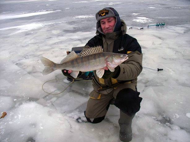 Финский залив в санкт-петербурге на карте, температура воды сегодня, уровень онлайн, рыбалка на дамбе