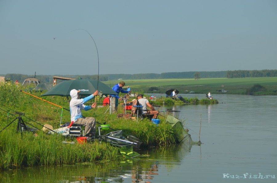 Рыбалка на реке томь кемеровской области