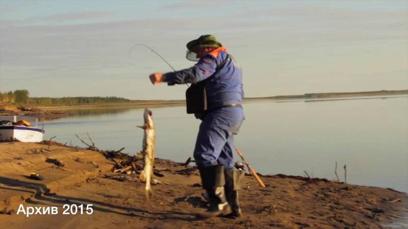 Якутск - календарь рыболова. рыбалка в якутске, график клёва рыбы.