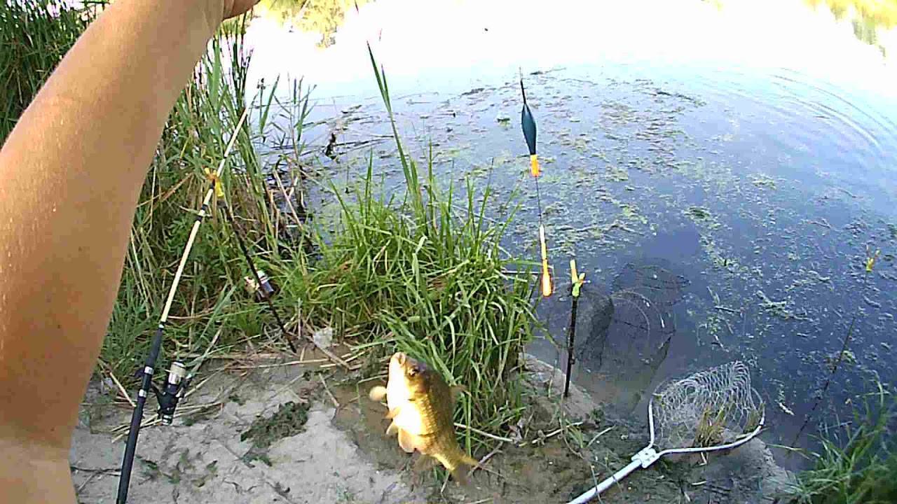 Рыбалка карась на поплавочную удочку видео сентябрь