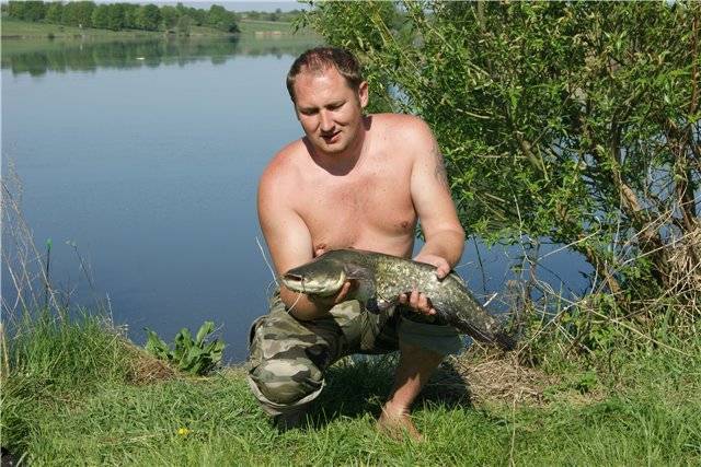 Рыбалка в орловской области: лучшие места на карте топ-5