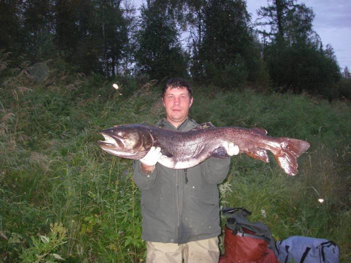Рыбалка в красноярске и красноярском крае