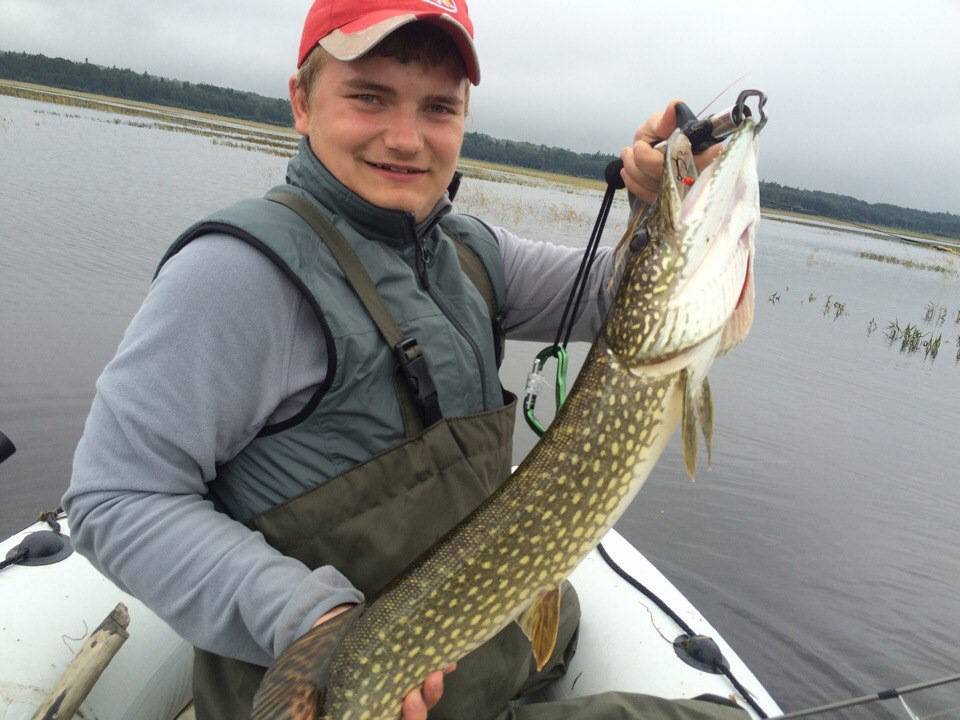 Река ловать новгородской области: особенности рыбалки, какая рыба водится