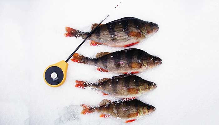 Мормышки для зимней рыбалки: виды и какие самые уловистые