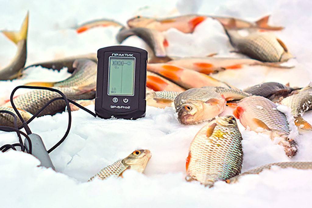 Рейтинг лучших эхолотов для зимней рыбалки: производители, какой выбрать, рейтинг топ-7
