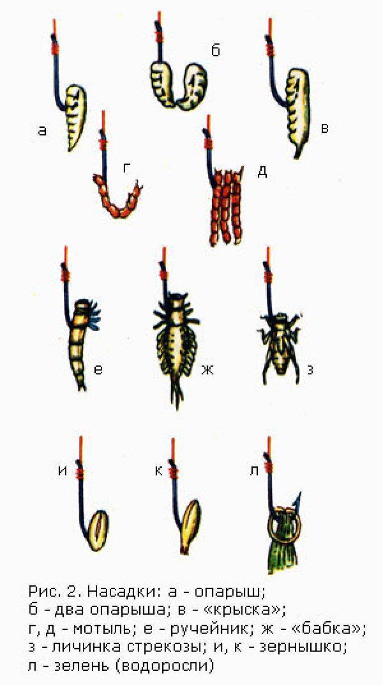 Как насаживать опарыша на крючок для карася фото правильно