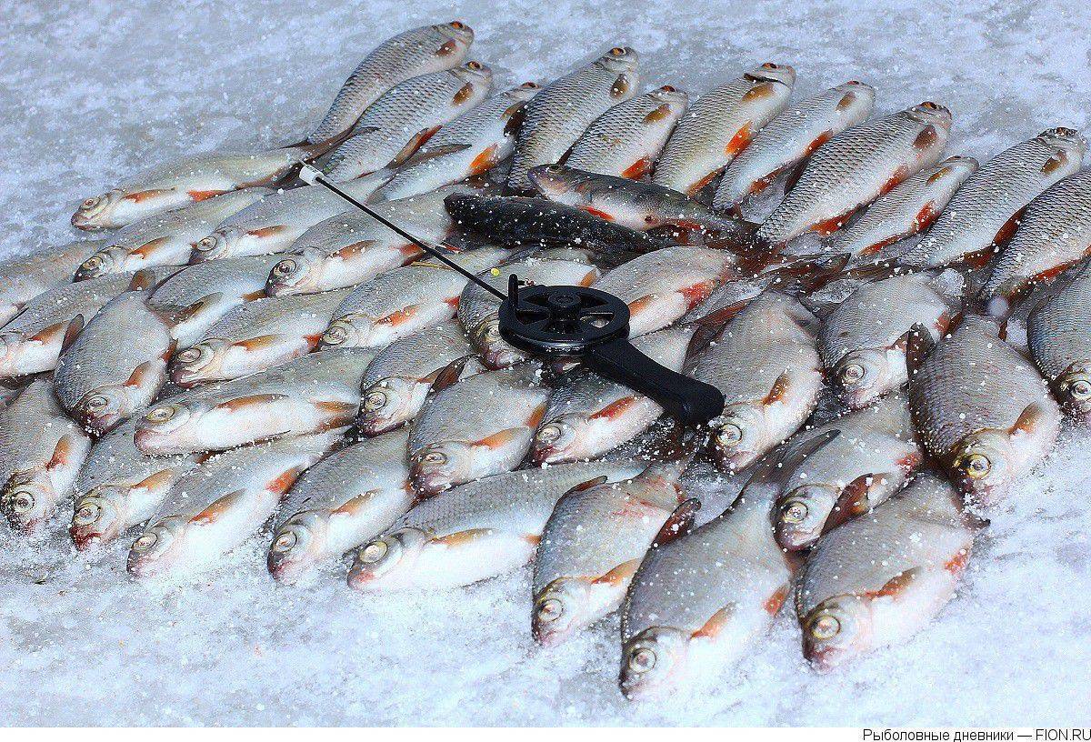 Рыбалка на можайском водохранилище. рыболовные базы в можайском район