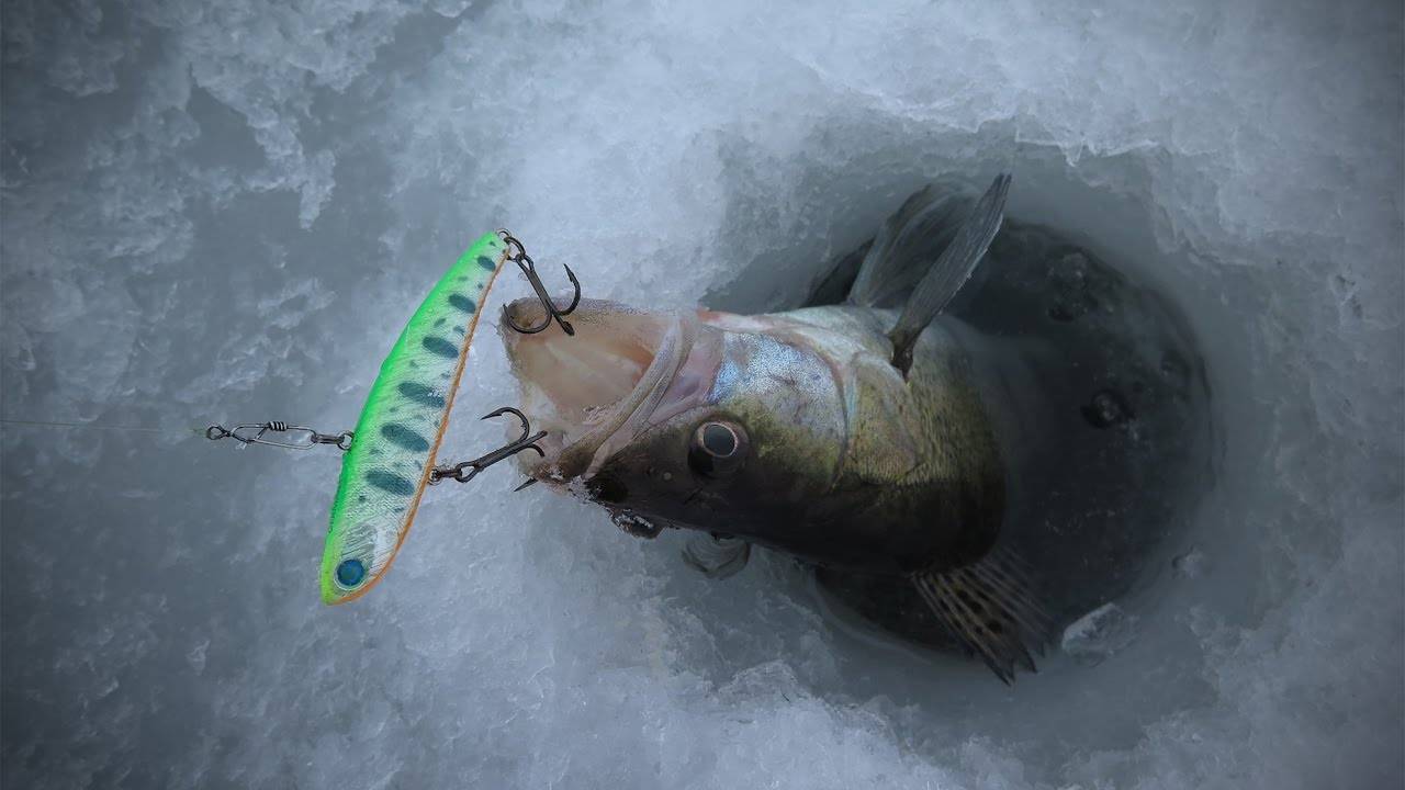 Ратлины для зимней рыбалки (вибы): как привязать, снасти для ловли, техника проводки, топ 10 лучших ратлинов