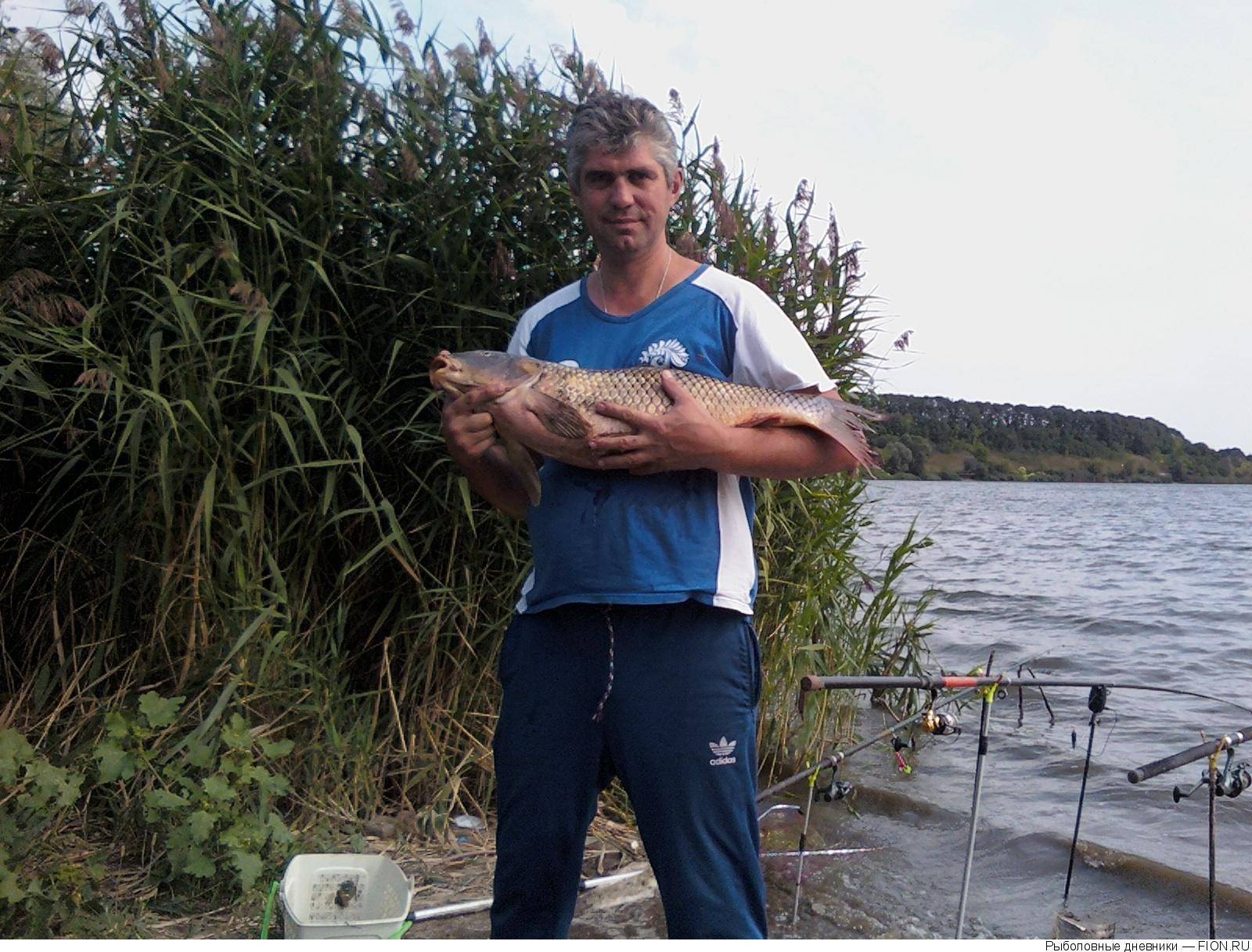 Рыбалка в белгороде и белгородской области, лучшие базы отдыха для ловли в белогорье