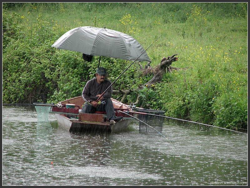 Какая погода лучше для рыбалки: дождливая, пасмурная или ясная?