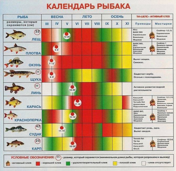 Давление для рыбалки: при каком атмосферном давлении клюет рыба? как оно влияет на клев? ловля при низком и высоком давлении летом