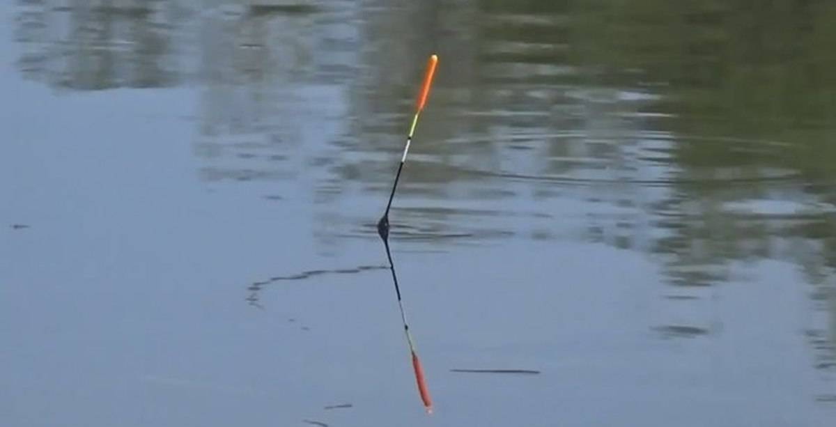 Рыбалка на поплавочную удочку: специфика оснастки, виды поплавков, способы ловли