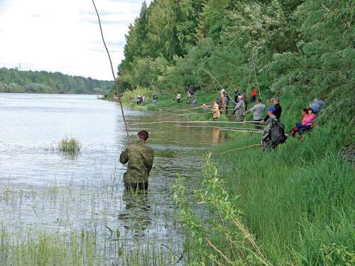 Правила рыболовства в нижегородской области