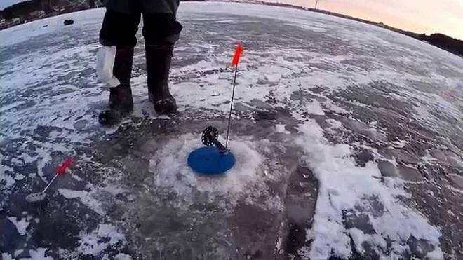 Тактика ловли щуки по первому льду на жерлицы
тактика ловли щуки по первому льду на жерлицы