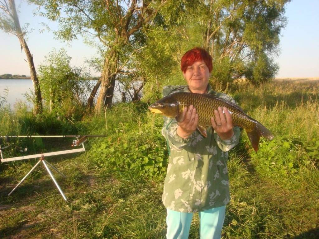 Топ-5 мест для продуктивной рыбалки в ульяновской области  | главные новости ульяновска