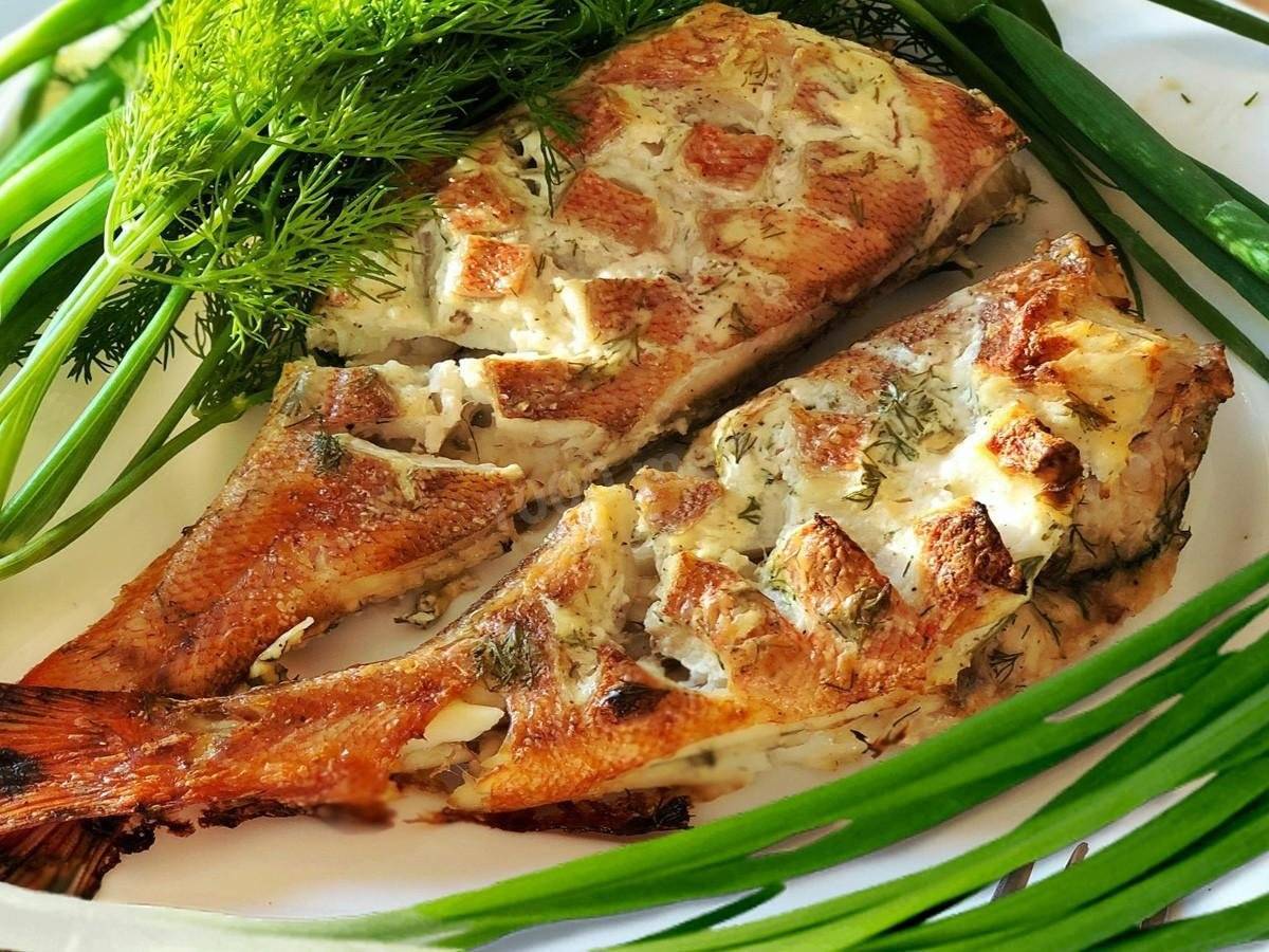 Лучшие рецепты диетических блюд из рыбы