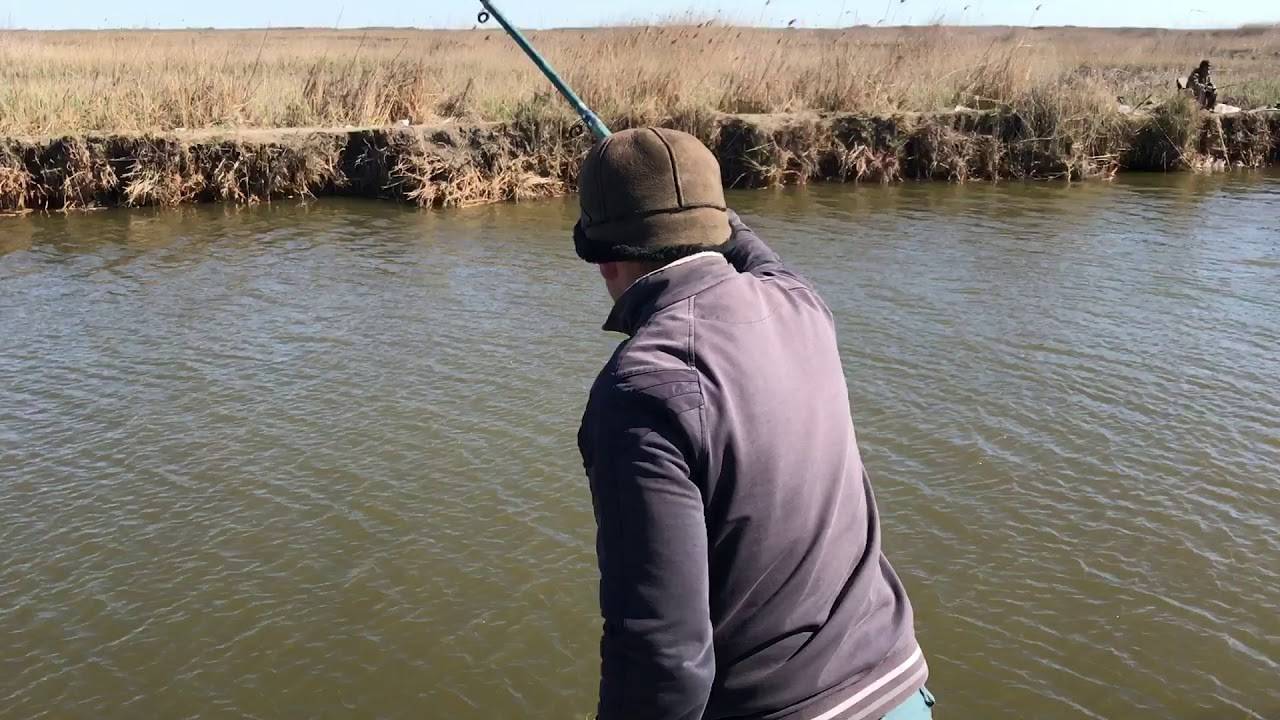 Куда поехать на рыбалку в республике адыгея и запрет 2019