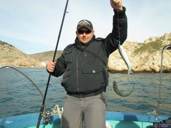 Рыбалка на черном море с берега: какую рыбу можно ловить на море