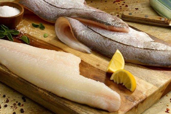 Рыба сайда: польза и вред, фото и отзывы | zaslonovgrad.ru