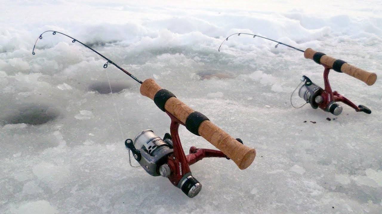 Зимний фидер со льда: оснастка для фидера и техника ловли