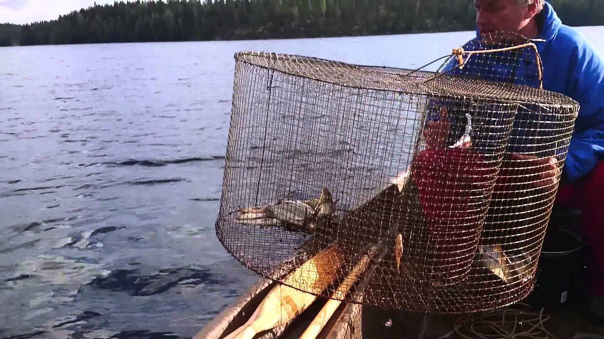 Рыболовный экран своими руками. как сделать телевизор для рыбалки рыболовный экран своими руками