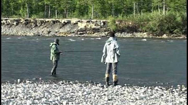 Платная рыбалка в иркутской области: рыболовные туры, охотничьи базы и водоемы иркутска