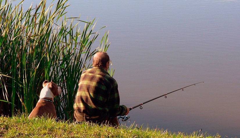 Платная рыбалка в московской области: рыболовные базы, водоемы и туры москвы и области