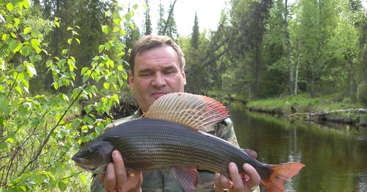 Рыбалка в хакасии: советы рыболовам
