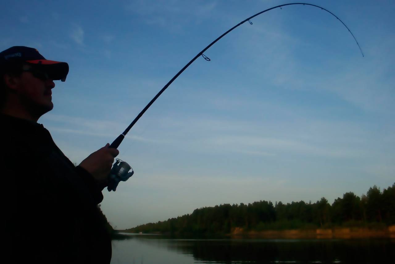 Как поймать рыбу на спиннинг — советы для начинающих рыбаков