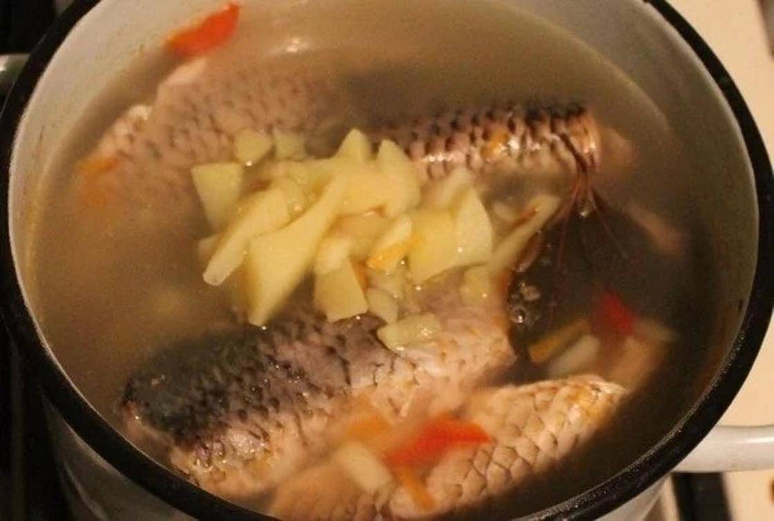 Уха из лосося: 6 рецептов супа из головы и хоста в домашних условиях