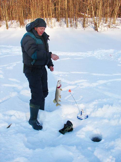 Рыбалка в нижегородской. Остров Разин. База остров Разин. Турбаза остров Разин. Остров Разина Нижегородская область.