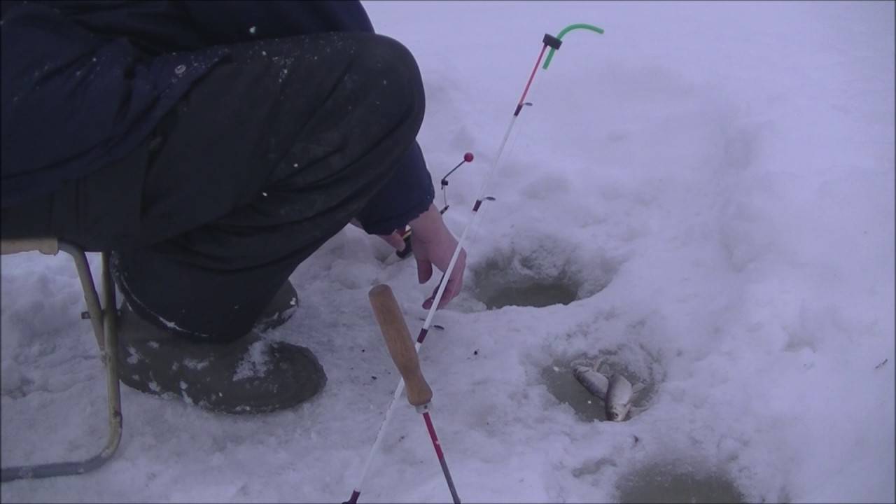 Зимний лещ на коромысло: снасть и техника ловли