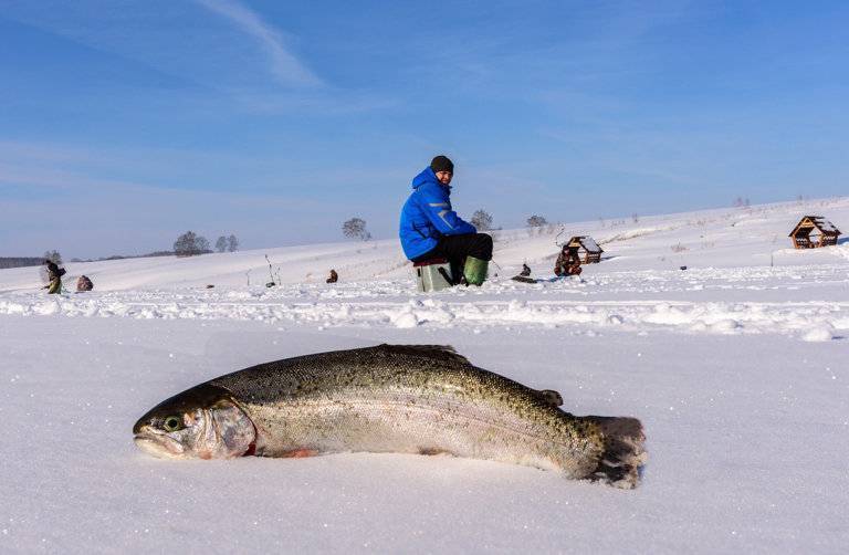 Платная рыбалка и рыболовные туры в кемеровской области
