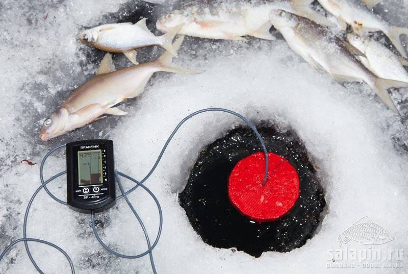 Лучшие эхолоты для рыбалки зимой на льду. рейтинг недорогих и лучших