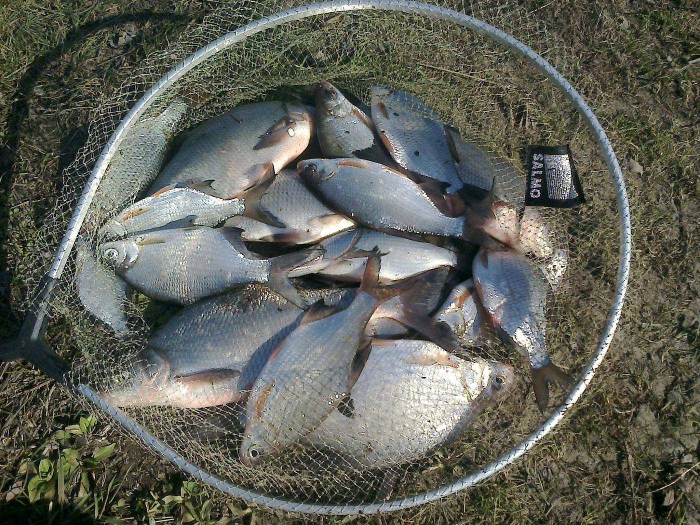 Рыбалка на реке мокша, мордовия