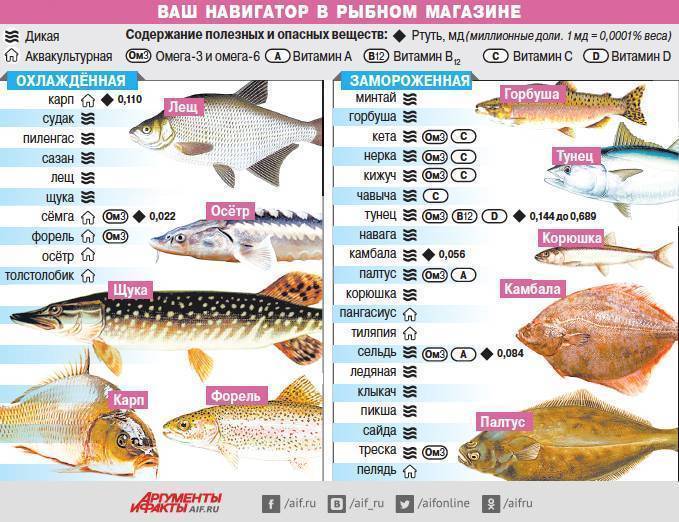 Рыба карп — калорийность, состав, рецепты