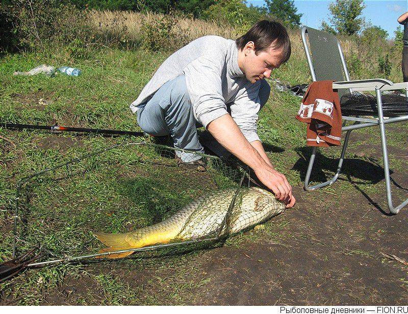 Рыбалка в белгородской области