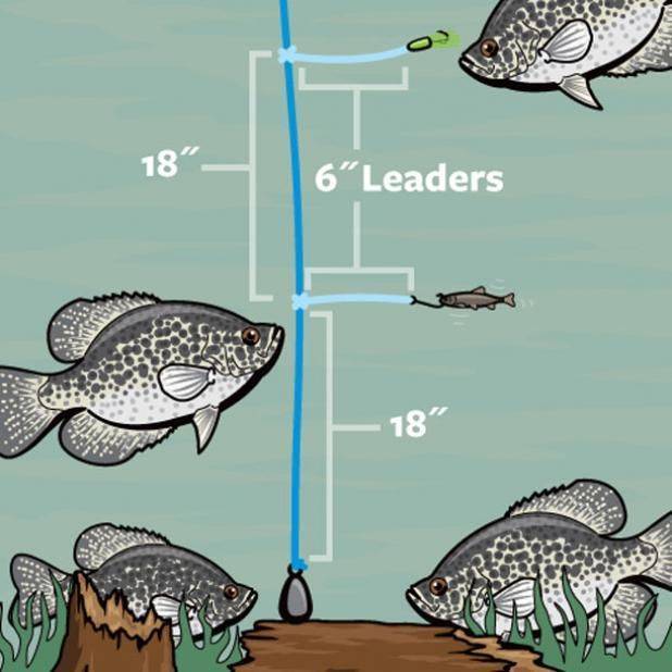Основные критерии правильного выбора места для рыбалки