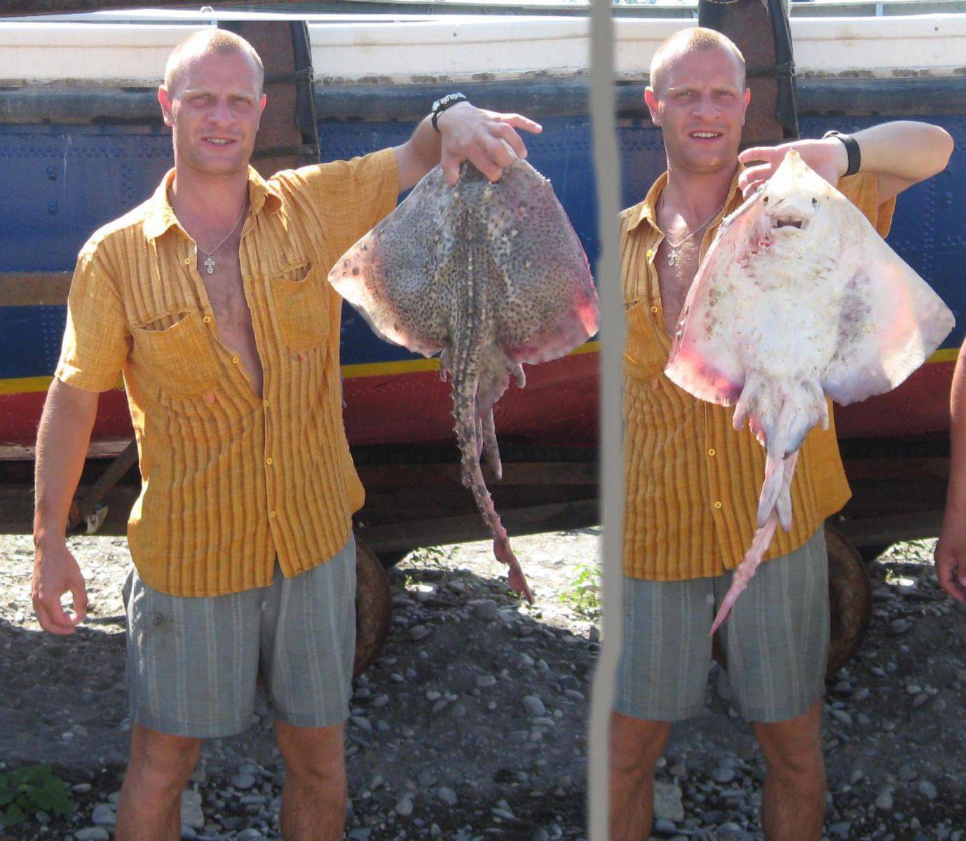Рыба лиса черноморская полезные свойства как готовить