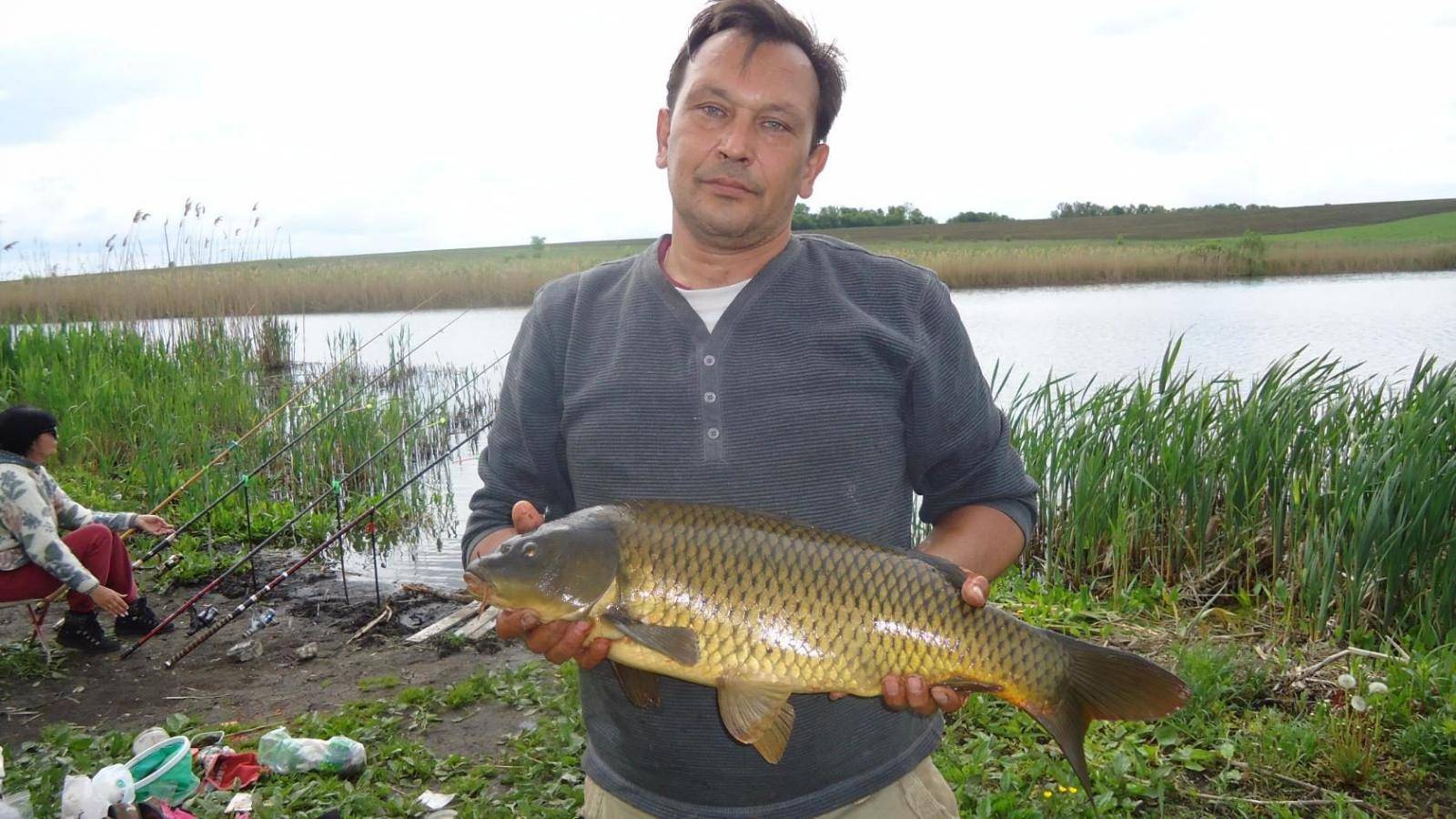 Куда поехать на рыбалку в белгородской области и белгороде и запрет 2019