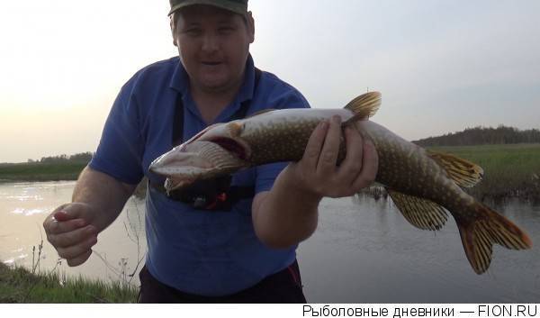 Места для рыбалки в краснодарском крае – платная и бесплатная рыбалка!
