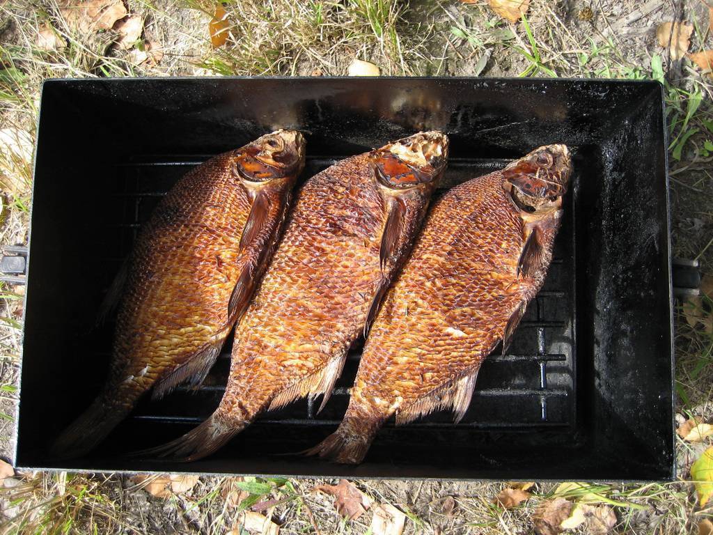 Горячее копчение окуня / заготовка рыбы / tvcook: пошаговые рецепты с фото