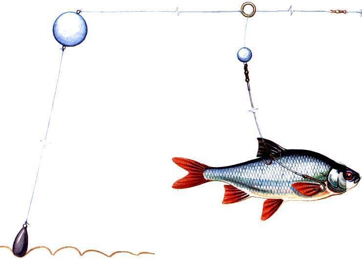 Рыбалка на окуня на спиннинг: как выбрать удилище, леску и приманку