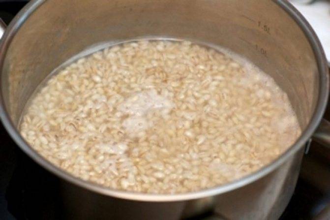 Пшеница для рыбалки - как запарить и приготовить ферментированную пшеницу?