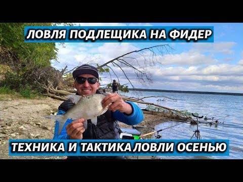 Ловля леща осенью на фидер, донку и поплавочную удочку в сентябре, октябре и ноябре