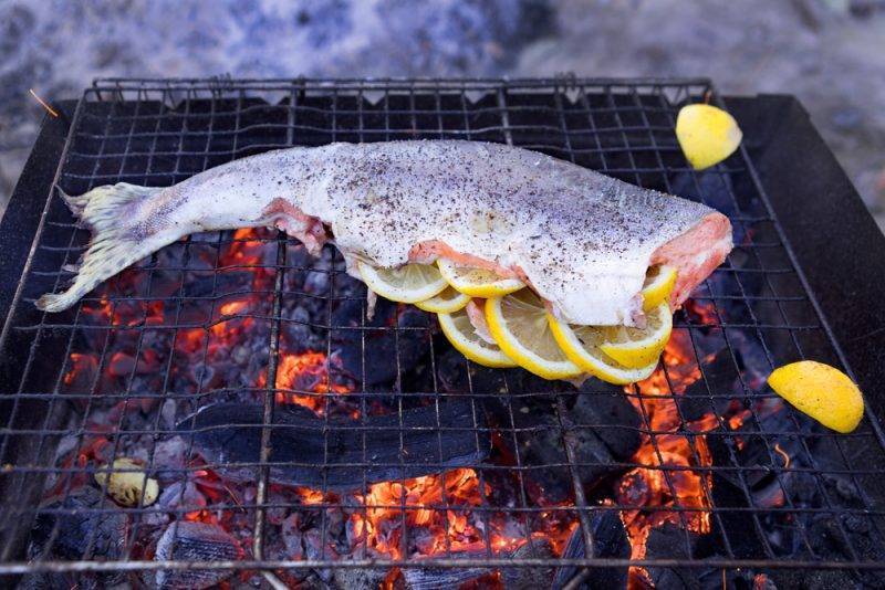 Как замариновать рыбу для мангала: 6 лучших рецептов