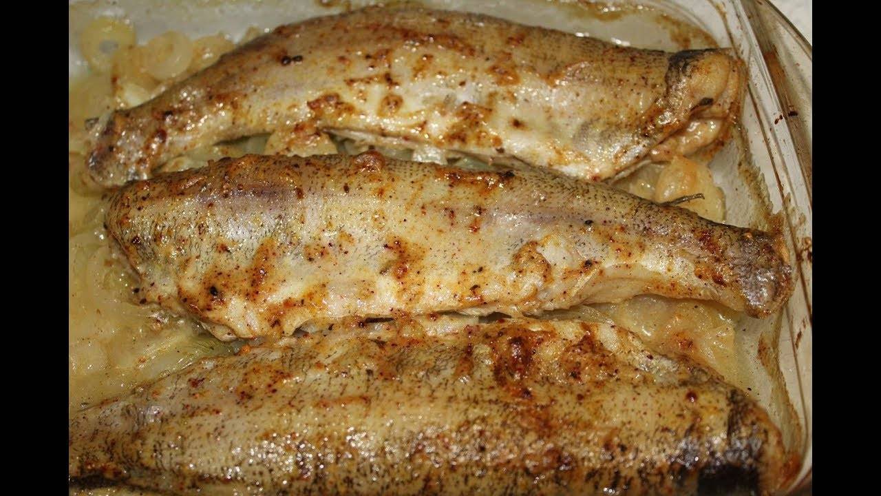 Щука в духовке: рецепты приготовления, как приготовить запеченную рыбу в рукаве, фото